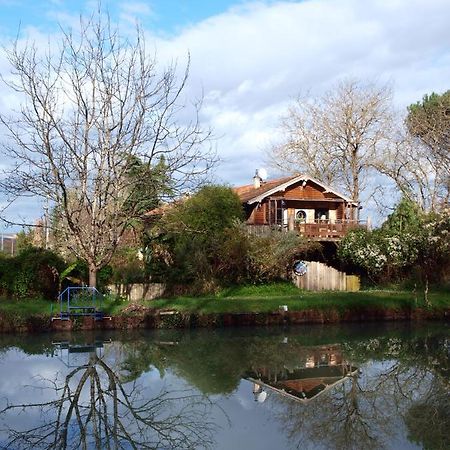 Meilhan-sur-Garonne Gite Au Jardin מראה חיצוני תמונה