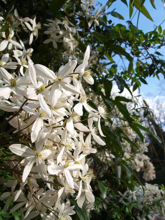 Meilhan-sur-Garonne Gite Au Jardin חדר תמונה