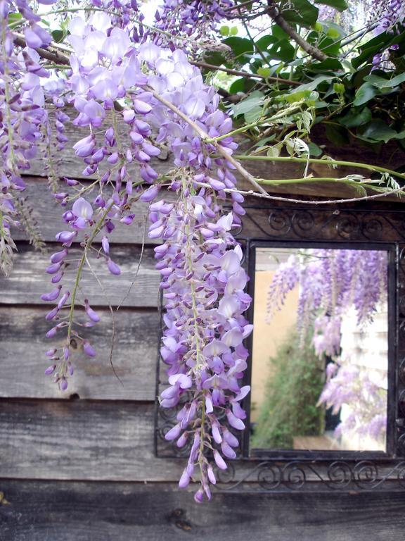 Meilhan-sur-Garonne Gite Au Jardin חדר תמונה