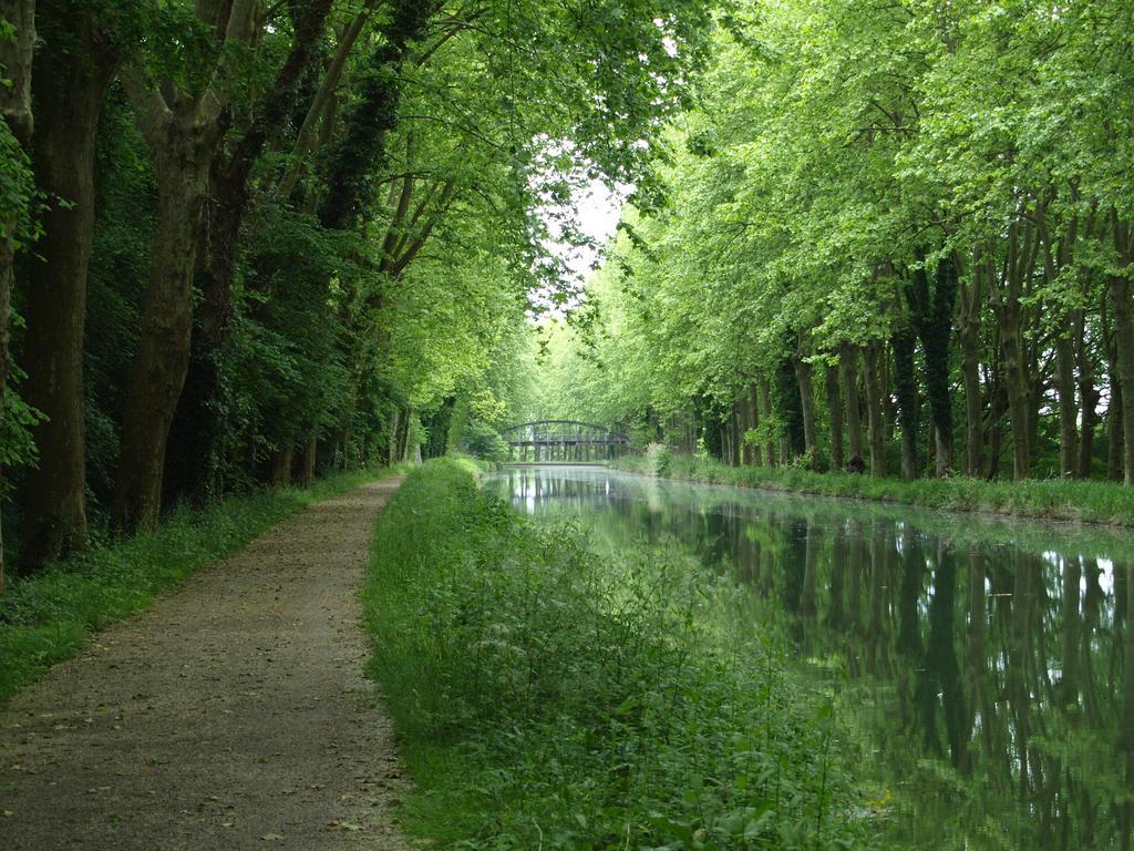 Meilhan-sur-Garonne Gite Au Jardin חדר תמונה