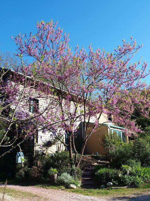 Meilhan-sur-Garonne Gite Au Jardin חדר תמונה