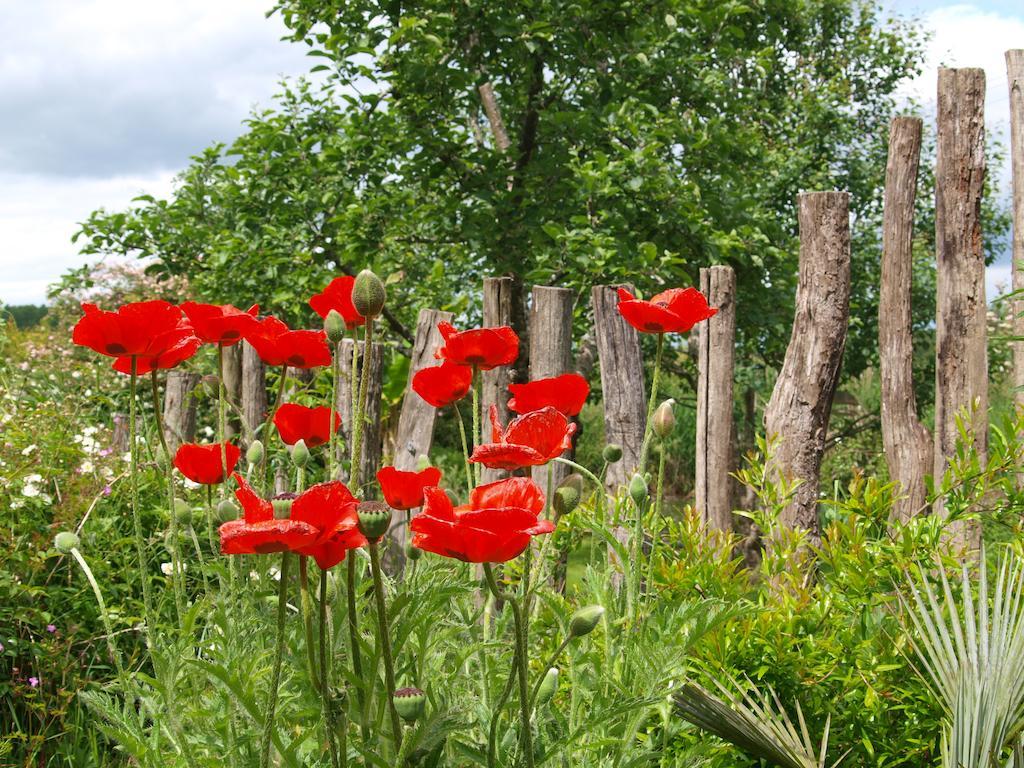 Meilhan-sur-Garonne Gite Au Jardin חדר תמונה